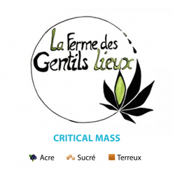Critical Mass 10g CBD Bio