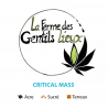 Critical Mass 2g CBD Bio