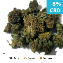 Critical Mass 2g CBD Bio