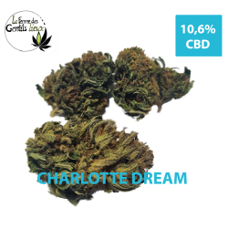 Charlotte Dream CBD Bio