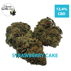 Strawberry Cake CBD Bio