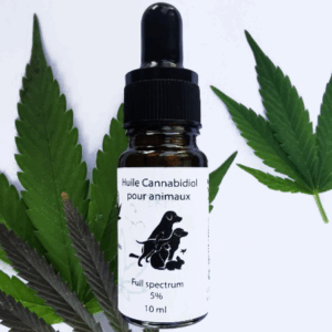 Huile saumon et CBD 5% full spectrum pour animaux