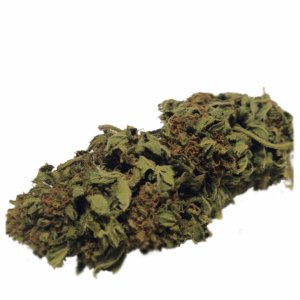 CBD Dreams Bio 10.1% CBD