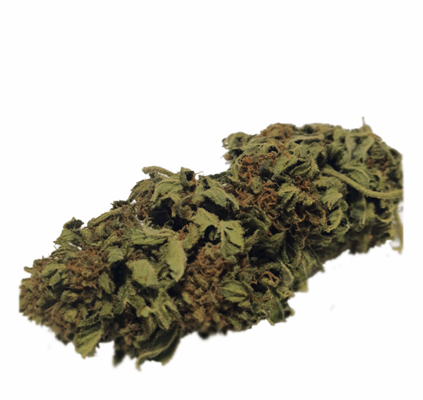 CBD Dreams Bio 10.1% CBD