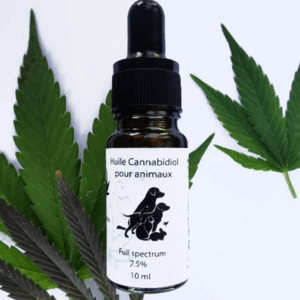 Huile saumon et CBD 10% full spectrum pour animaux