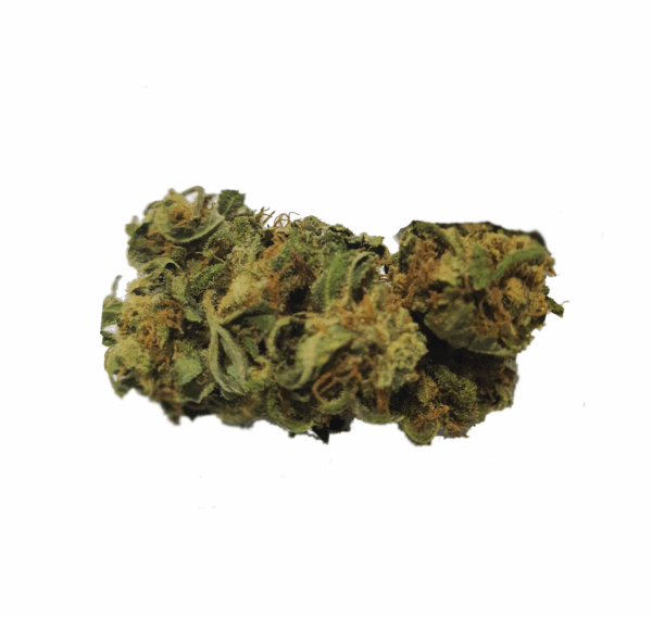 Matphéno Bio 13.2% CBD