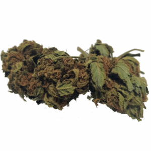 Sweet Critical CBD Bio 13.8% CBD