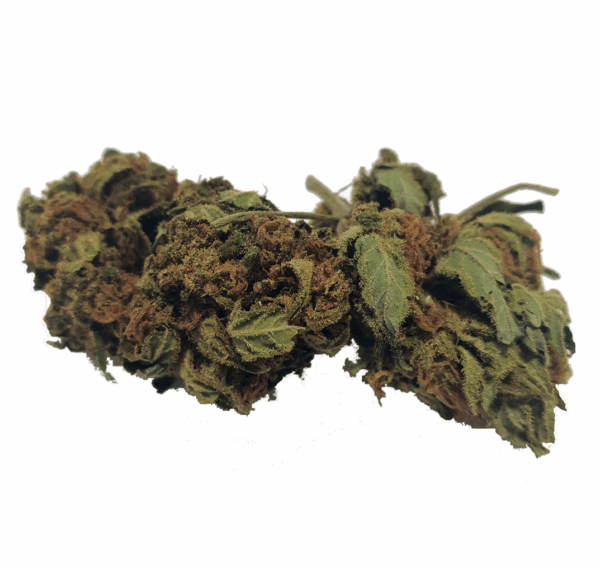 Sweet Critical CBD Bio 13.8% CBD