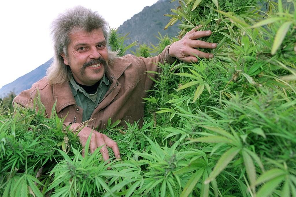 Bernard Rapaze, l’homme derrière Green House Seeds