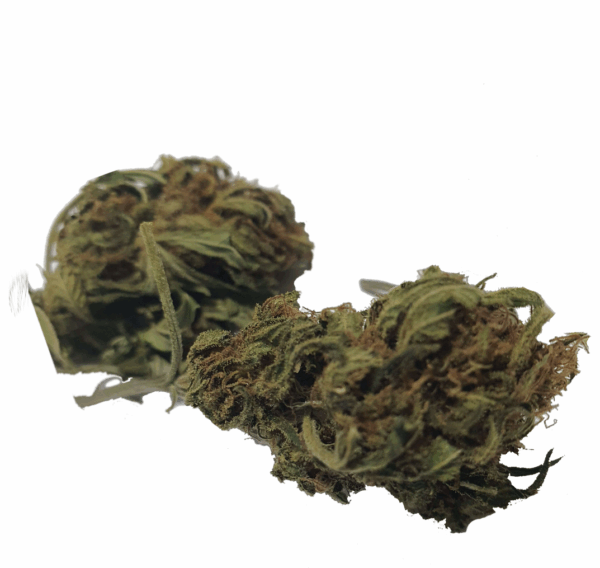 Recovery CBD Bio 11.9% CBD